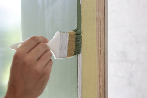 Best Black Mold Removal  in Baldwinsville, NY