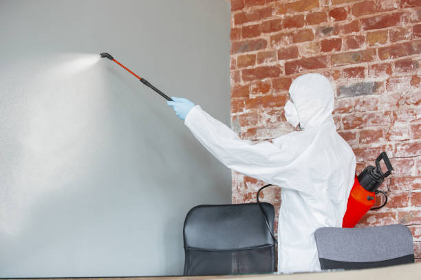 Best Mold Odor Removal Services  in Baldwinsville, NY