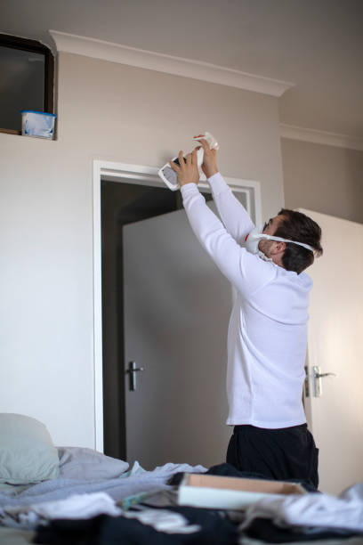  Baldwinsville, NY Mold Removal Pros