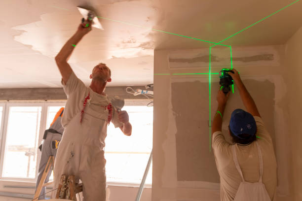 Mold Documentation for Insurance Claims in Baldwinsville, NY