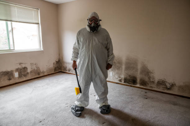 Best Air Quality Testing for Mold Spores  in Baldwinsville, NY