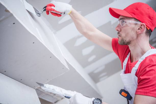 Reliable Baldwinsville, NY Mold Removal Solutions